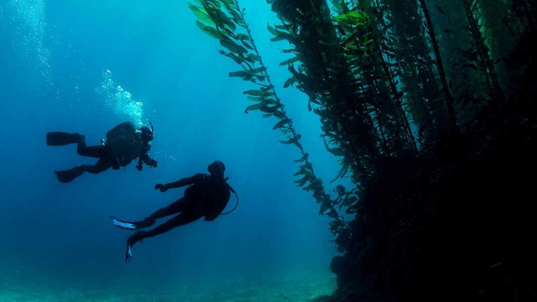 Deep Diver course