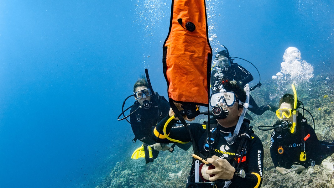 Delayed Surface Marker Buoy (DSMB) Diver course