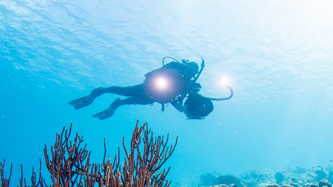 Digital Underwater Photographer course