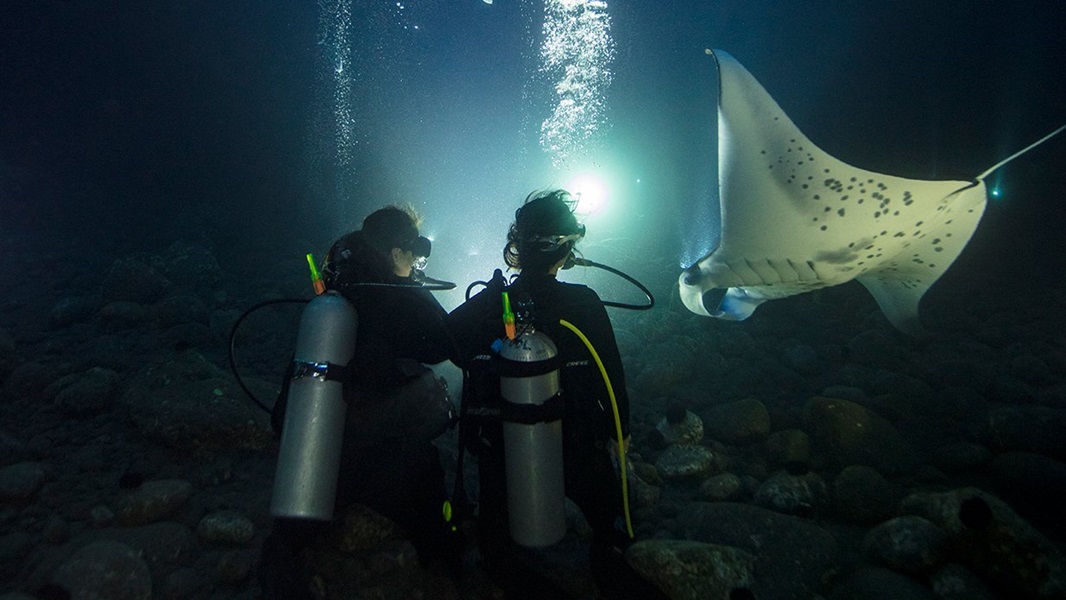 Night Diver course