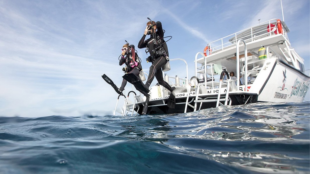 ReActivate Scuba Refresher Program course